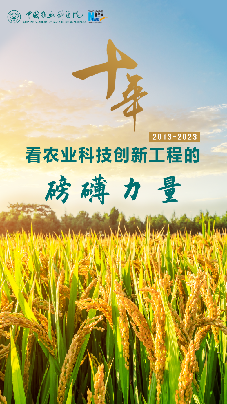 十年看农业科技创新工程的磅礴力量(图1)