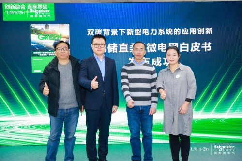 施耐德电气发布微电网洞察白皮书光储直柔示范基地落户武汉(图2)