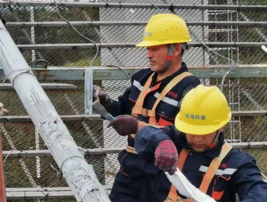 宝山区7家企业入选2023年度上海市科技小巨人（含培育）企业立项名单(图11)
