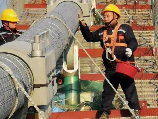 宝山区7家企业入选2023年度上海市科技小巨人（含培育）企业立项名单(图12)