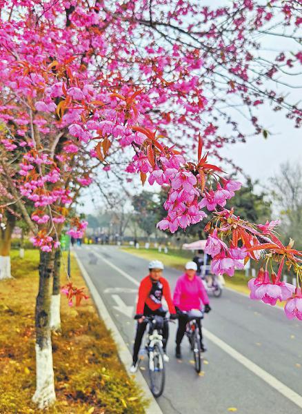 2023年度成都市幸福美好生活十大工程完成投资11159亿元(图2)