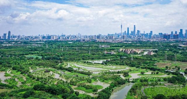 海珠湿地项目获2023年度中国风景园林学会科技金奖(图1)