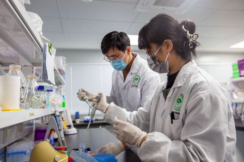 这群大学生选择留校过年(图2)