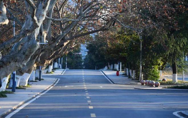 23年安徽省大学排名“大调整”中科大位列第一合工大最强211(图2)