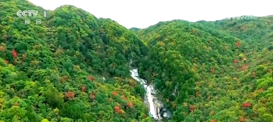 天蓝、地绿、水清绿意涌动！一批重大生态环境修复治理工程陆续展开(图6)
