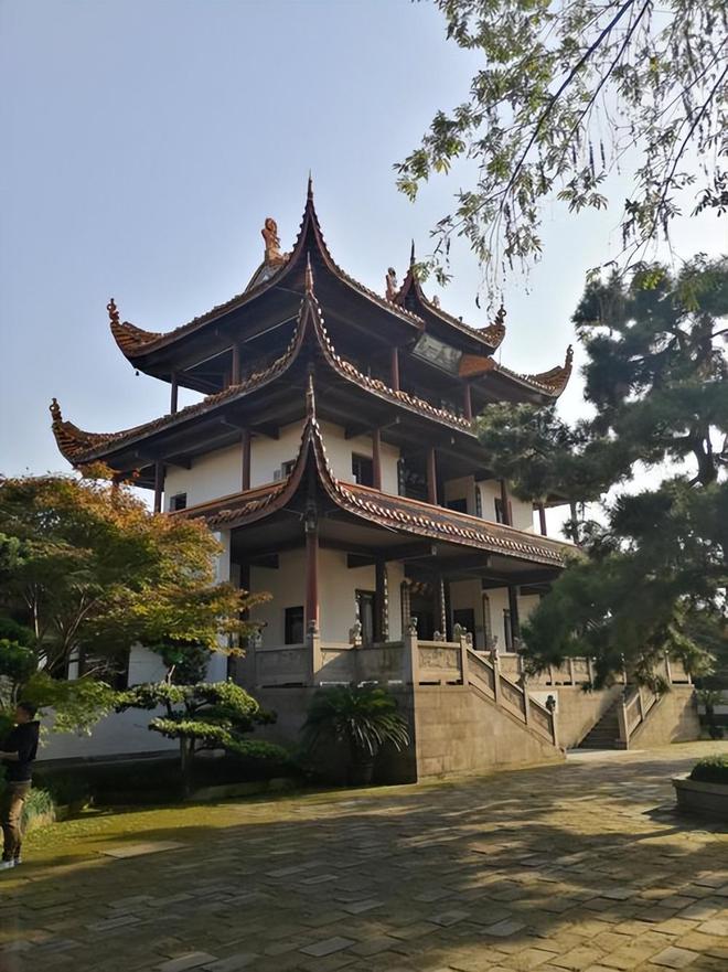 共招5833人！这所985大学官宣扩招了招生、录取大数据分析(图4)