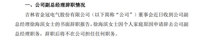 徐海滨辞任金冠股份副总经理曾任恒坤电气总经理(图1)
