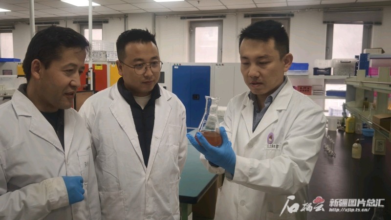 为中国式现代化新疆实践提供坚强政治保证——党的十八届三中全会以来新疆推进党的建设制度改革综述(图4)