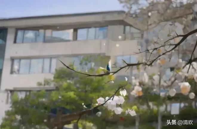 张雪峰又出圈！他强推的一所大学录取分数线%(图3)