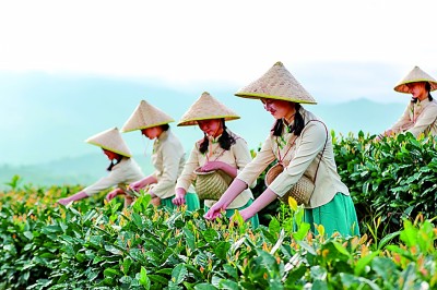 福建：向“新”而动 民营经济提质升级(图3)