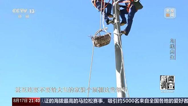 【中央电视台】新闻调查丨鸟线共生(图5)