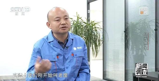 【中央电视台】新闻调查丨鸟线共生(图2)