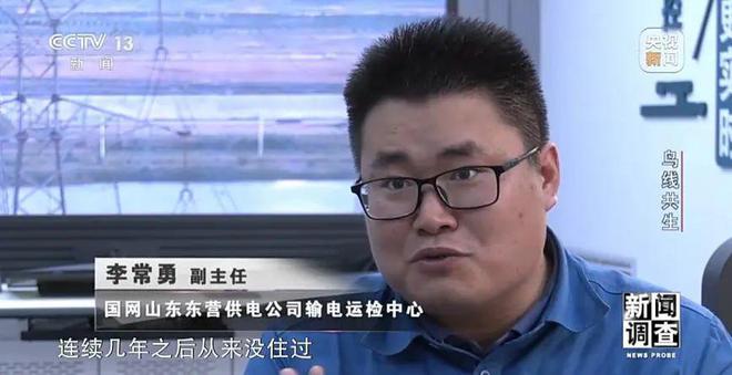 【中央电视台】新闻调查丨鸟线共生(图20)