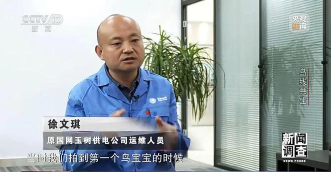 【中央电视台】新闻调查丨鸟线共生(图7)