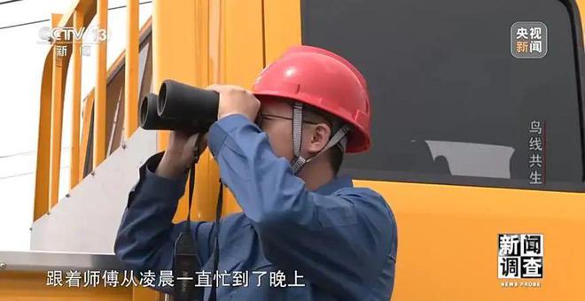 【中央电视台】新闻调查丨鸟线共生(图13)