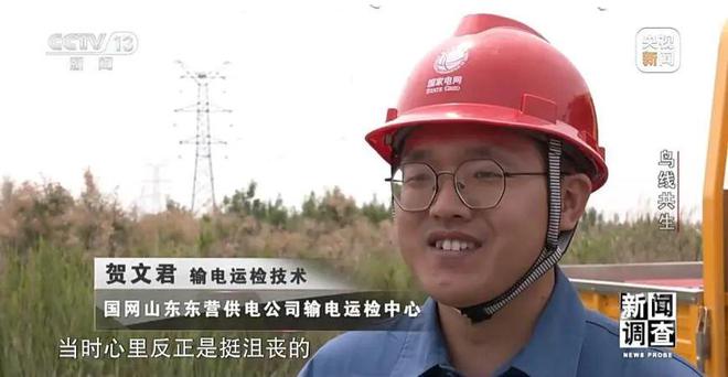【中央电视台】新闻调查丨鸟线共生(图14)