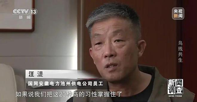 【中央电视台】新闻调查丨鸟线共生(图24)