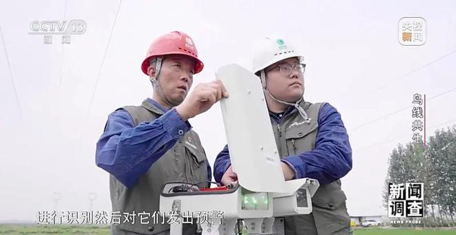 【中央电视台】新闻调查丨鸟线共生(图25)
