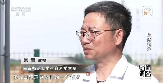 【中央电视台】新闻调查丨鸟线共生(图30)