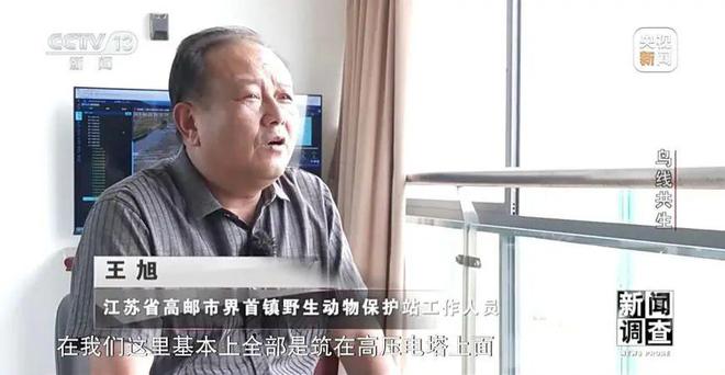 【中央电视台】新闻调查丨鸟线共生(图29)
