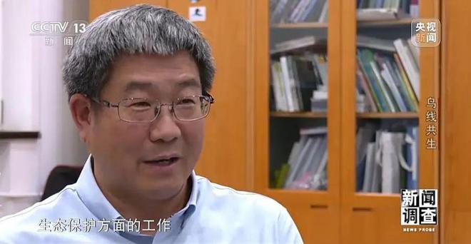 【中央电视台】新闻调查丨鸟线共生(图32)