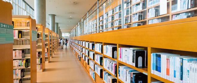 合肥科技职业学院专科录取分数线最低分(图1)