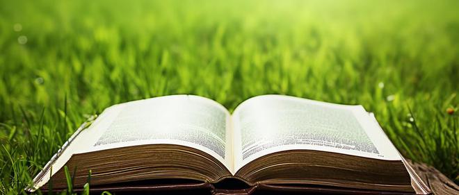 湛江科技学院本科录取分数线最低分(图1)